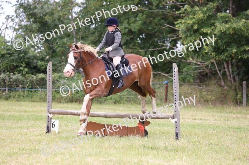 20260614-3089 - Class 22 - Open Working Hunter