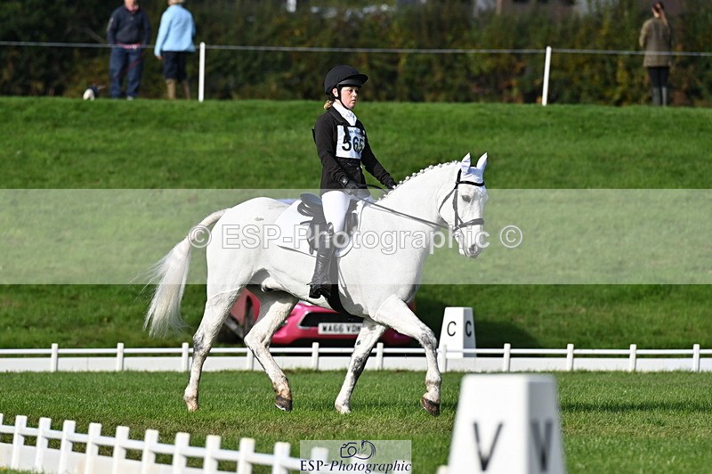 251024A-114224-09730 - G-565-Katie.Maddox