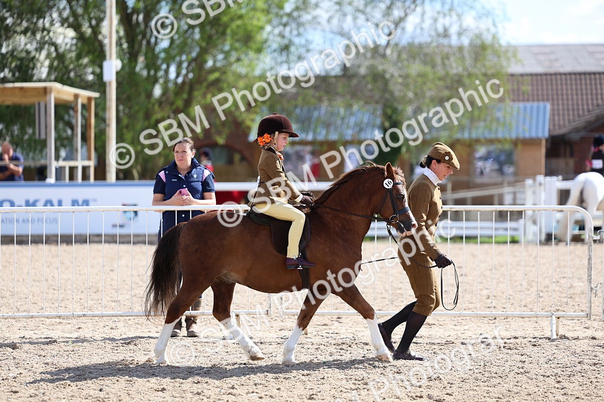 SBM_13016 - Class 309 - Lead Rein Pony