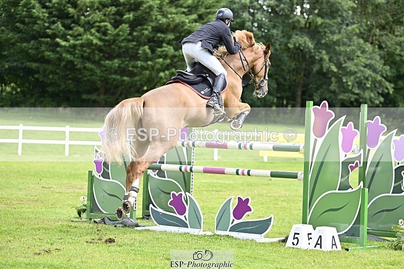 240711-120752-26830 - Cls 117 HOYS Grade C Quali 1.35m