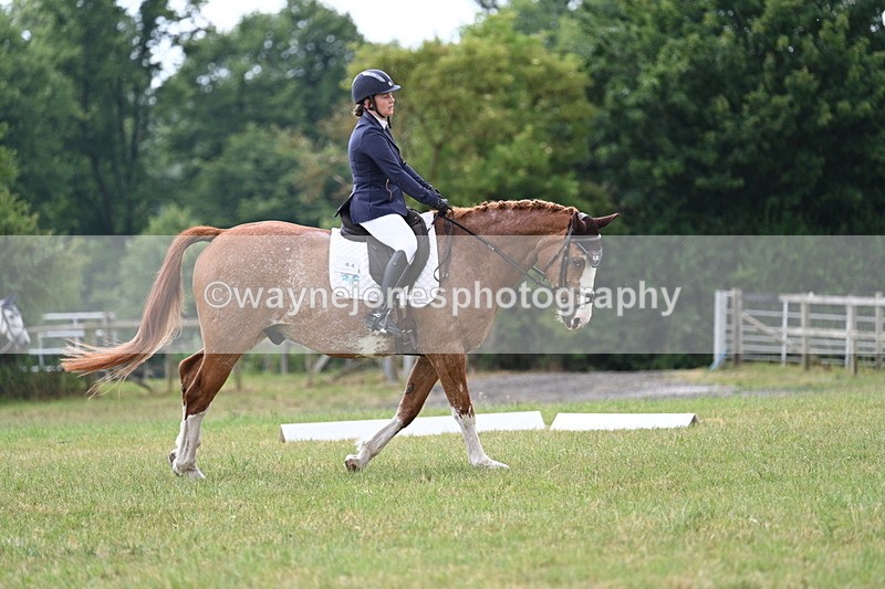 WJ7_5882 - Time 11:52 to 12:10