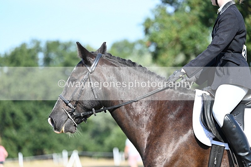 WJ7_9146 - Time 09:27 to 10:03