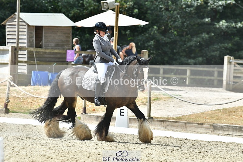 260801A-121611-03870 - Prelim SIlver Break - End