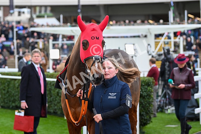 171124-Race 2-Paddock-Westerninthepark-2848 - Race 2
