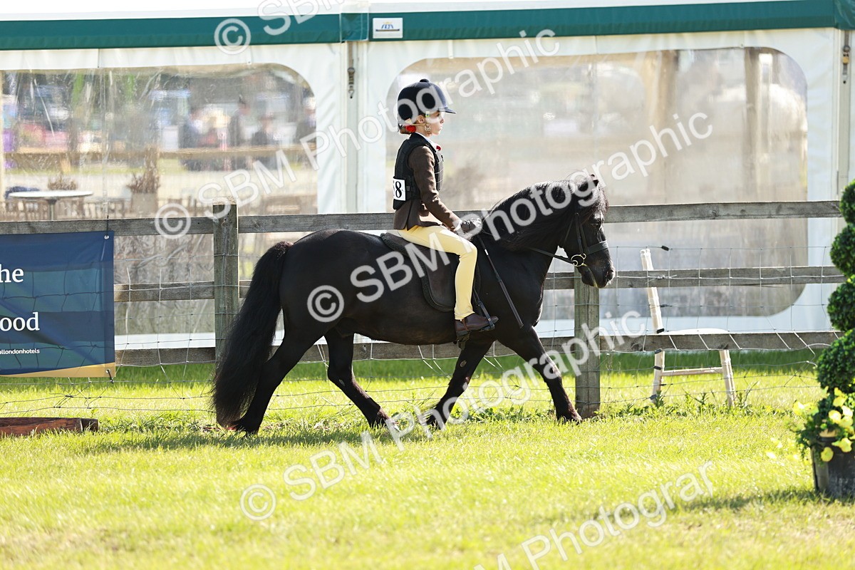 SBM_12580 - Class 106-107 - BSPS LIHS Working Sports Pony