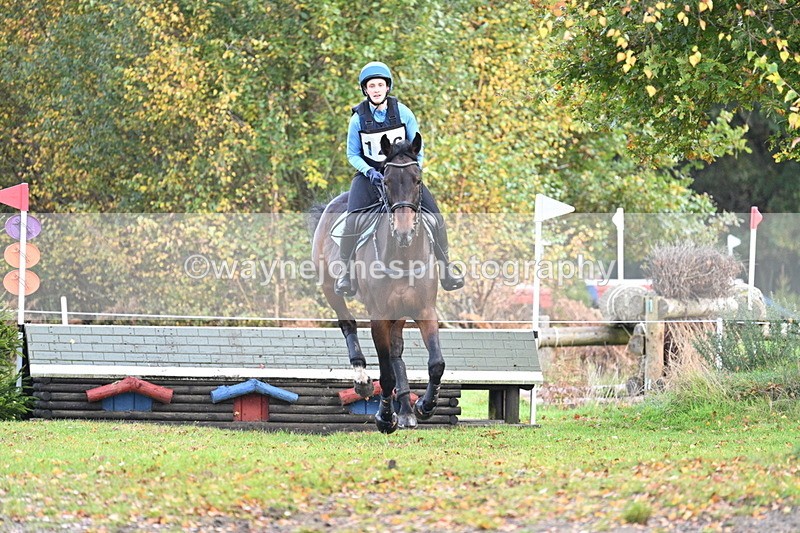 WJ7_0415 - 80cm Cam 2 Water Time 10:45 to 11:06