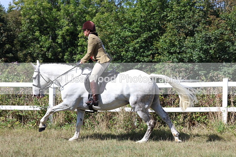 3E7A6442 - Working Hunter Championship