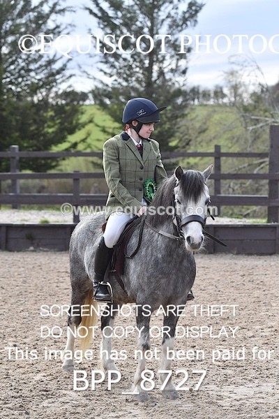 BPP_8727 - TRAINING STAKES