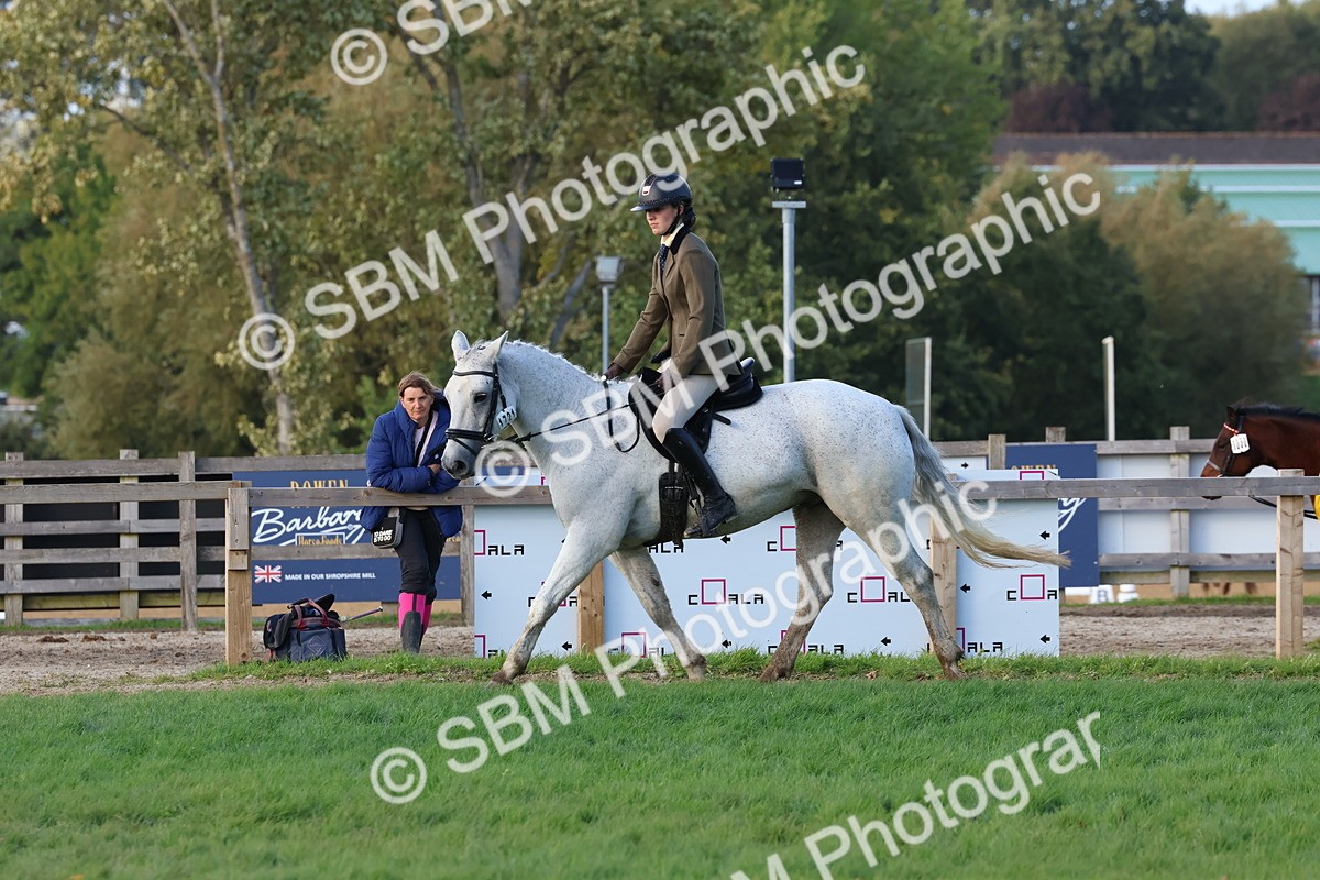 SBM_52556 - S13 - Pony Club Pony