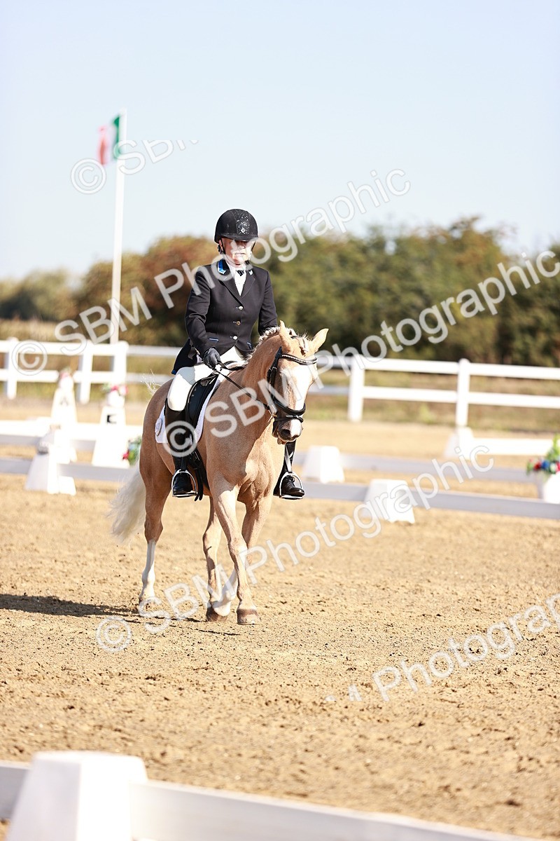 SBM_004356 - Class 12 - Novice 5 - 9.07-10.10