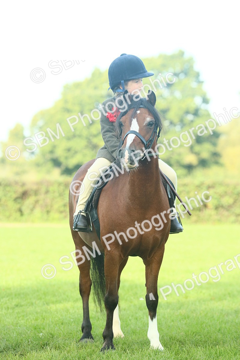SBM_59857 - S38 - Starters Ridden Showing
