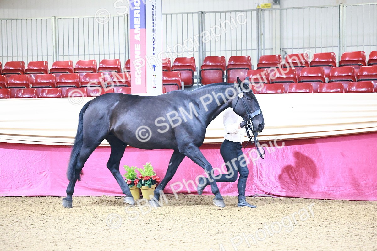 SBM_21633 - Class 901 - Supreme Final - IH  Diamond