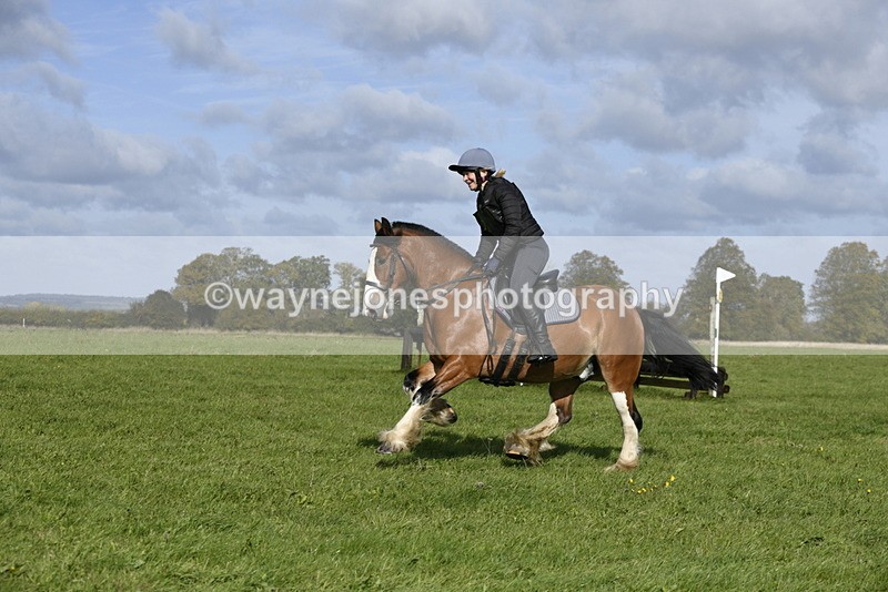 _DSC5691 - Time 10:49 to 11:23