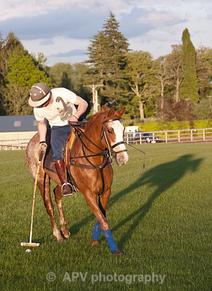 _DSC8286 - POLO Training
