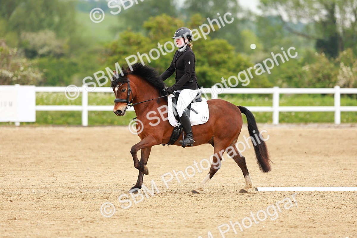 SBM_005272 - Class 16 - Novice 6