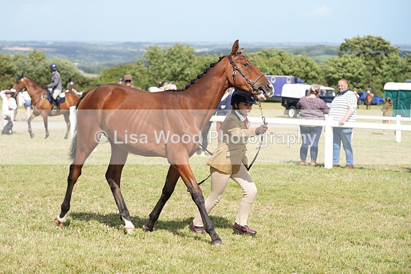 DSC07635 - Class 62: Child Handler