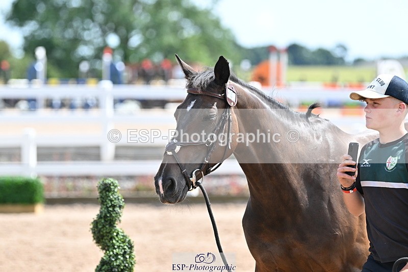 240717A-151144-02638 - Trot Up 3pm to 4pm