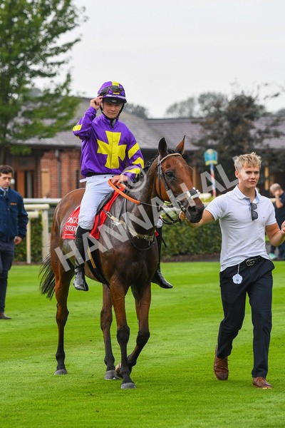 100923-Pony Race 2-Its Fatherted-0324 - Pony Race 2 12.45 The Dragon (TV and Film) Studios Pony Race 148cm & Under