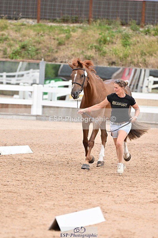 250716-143056-01154 - Trot Up 2.30 to 3.30