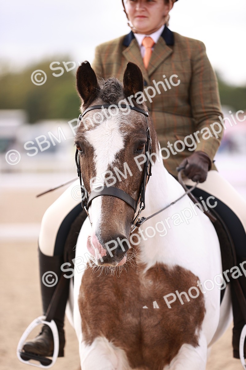 SBM_14395 - Class 409 - Grassroots Ridden - Pony