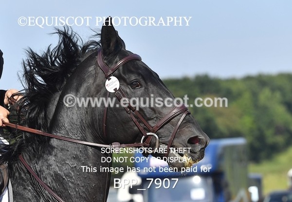 BPP_7907 - CLASS 3 Senior BritiNovice/ 90cm Open