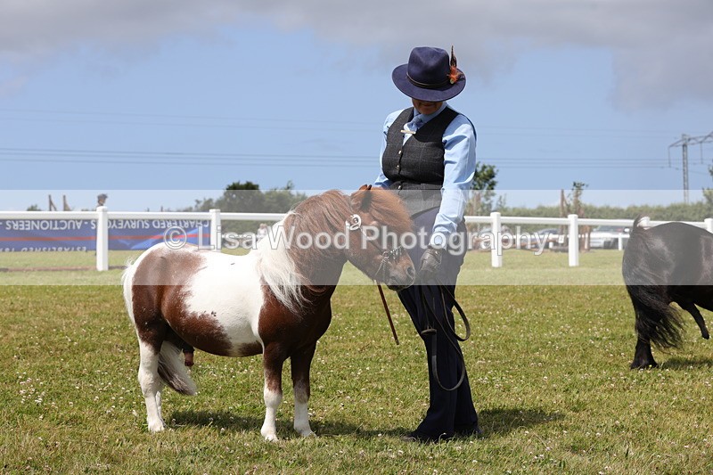 1X9A4801 - Class 35: Veteran In Hand