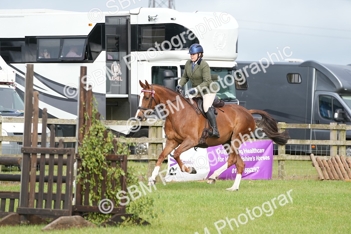 SBM_10590 - Class 97-98 - LIHS BSHA Rising Star Working Show Horse Hunter