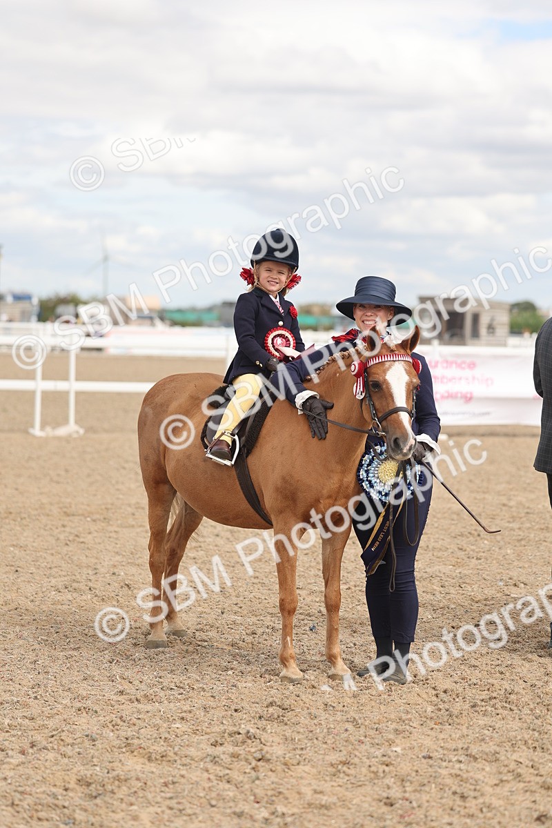 SBM_15831 - Class 309 - Lead Rein Pony