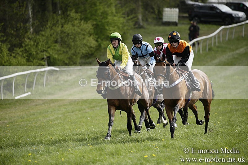 PtP 170417 288 - Old Berks Point-to-Point Lockinge 17/04/17