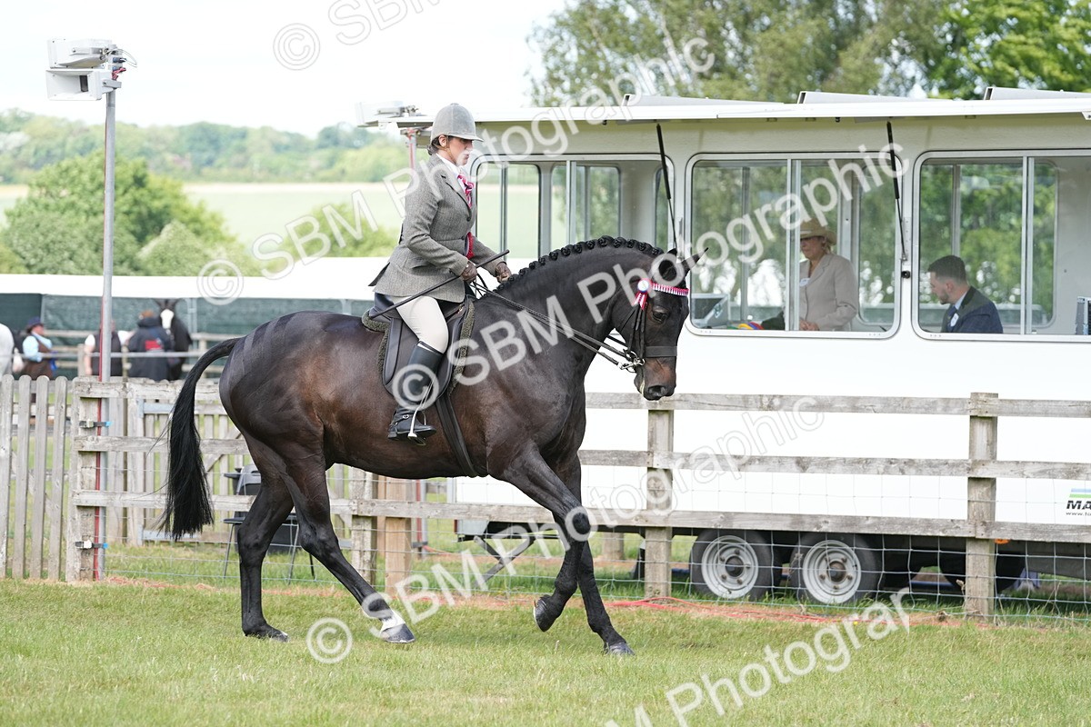 SBM_16296 - Class 105-106 - RIHS Riding Horses
