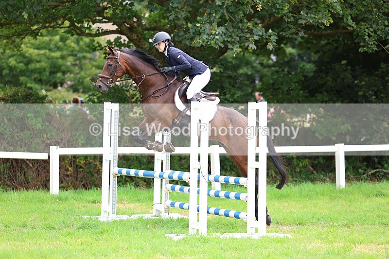 3E7A7253 - Class 5: Senior British Novice/90cm open