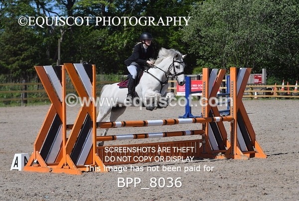 BPP_8036 - CLASS 3 Senior BritiNovice/ 90cm Open