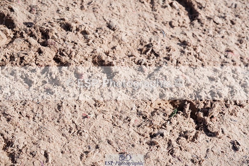 250427-095056-15399 - Cls 16 - 1 Star Bronze Tour