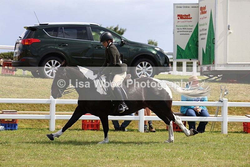 3E7A9792 - Class 5: Rising Star Lightweight/Heavyweight Cobs