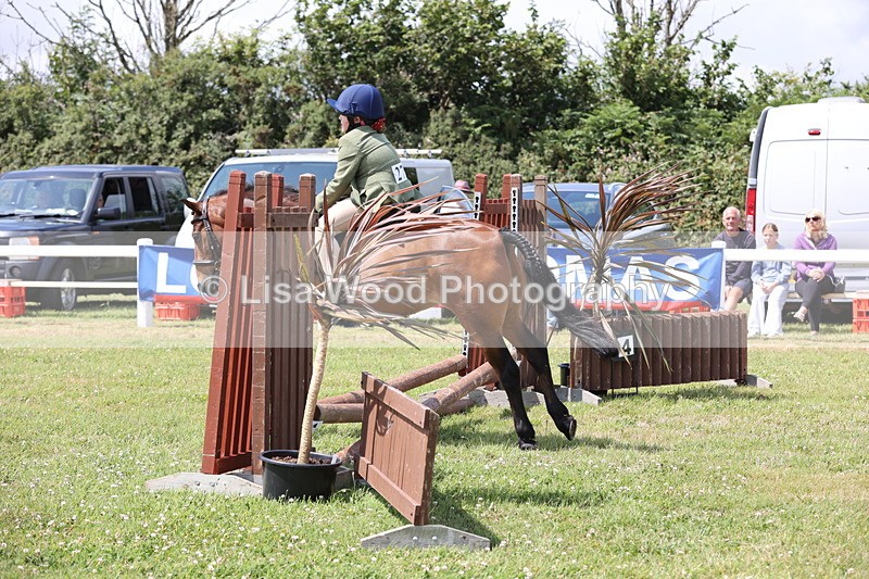 JPP_1819 - Class 18: Tiny Tots Working Hunter Pony
