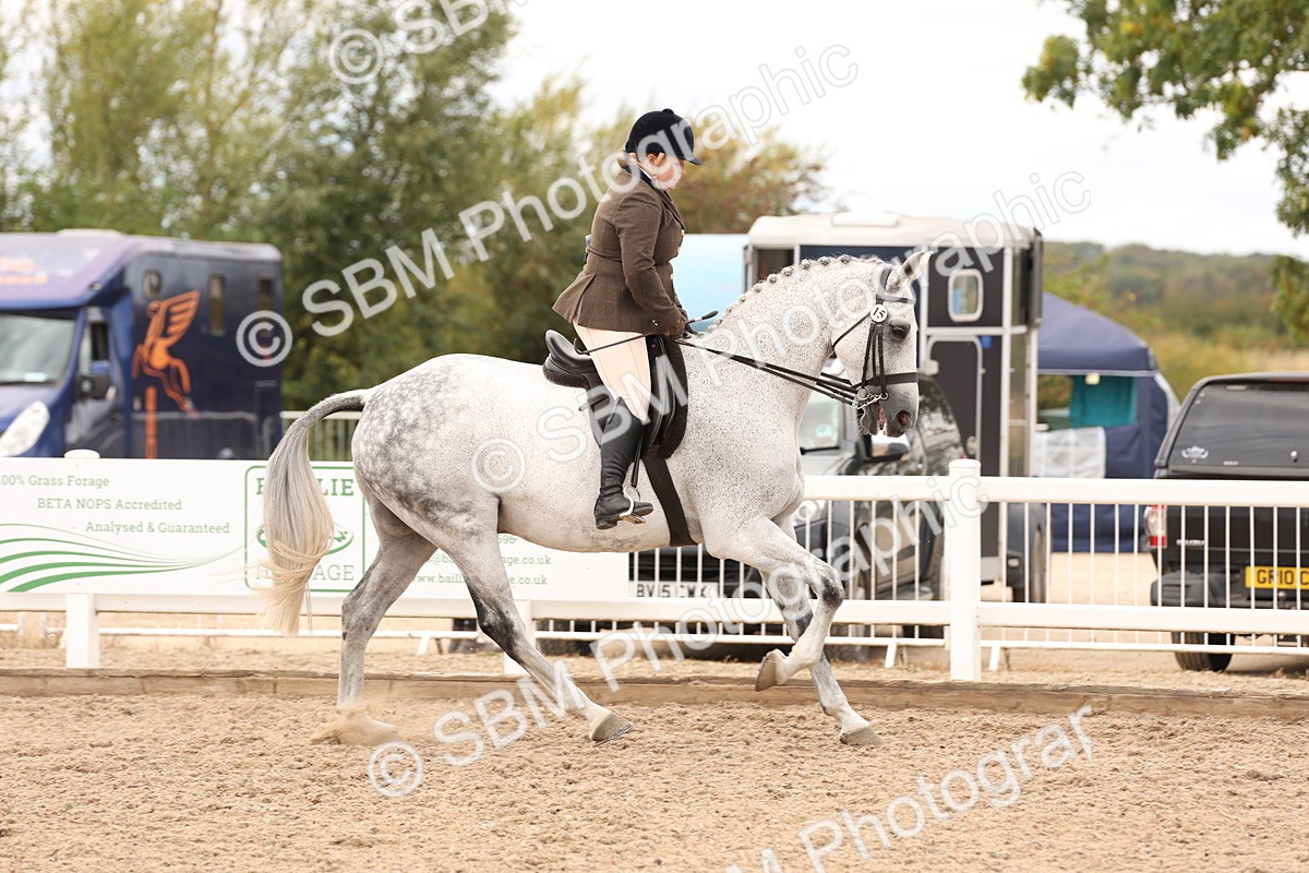 SBM_17222 - Class 213 - Ridden Hunter - Large