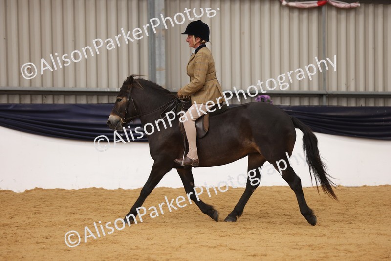 20260913-0685 - Class 127 - Young Ridden 4-6 years