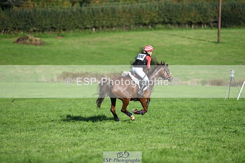 251024A-143549-13464 - C-206-Madison.Tapner