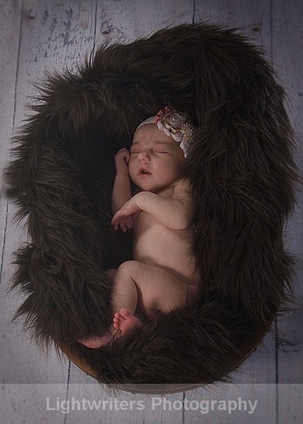 Willow 23 - Willow