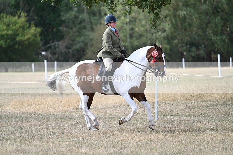 WJ7_7731 - Ridden Championship