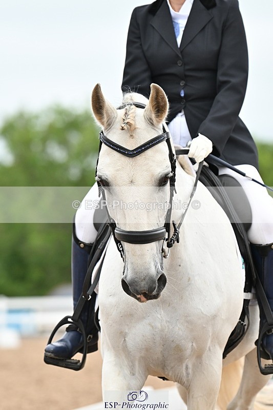 240623A-142818-19028 - Cls 51 BD Elementary 53