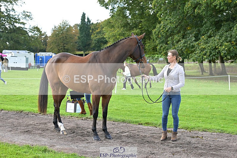 241023-131421-00149 - 009-Louisa.Lockwood-GRANTSTOWN.AMADEUS