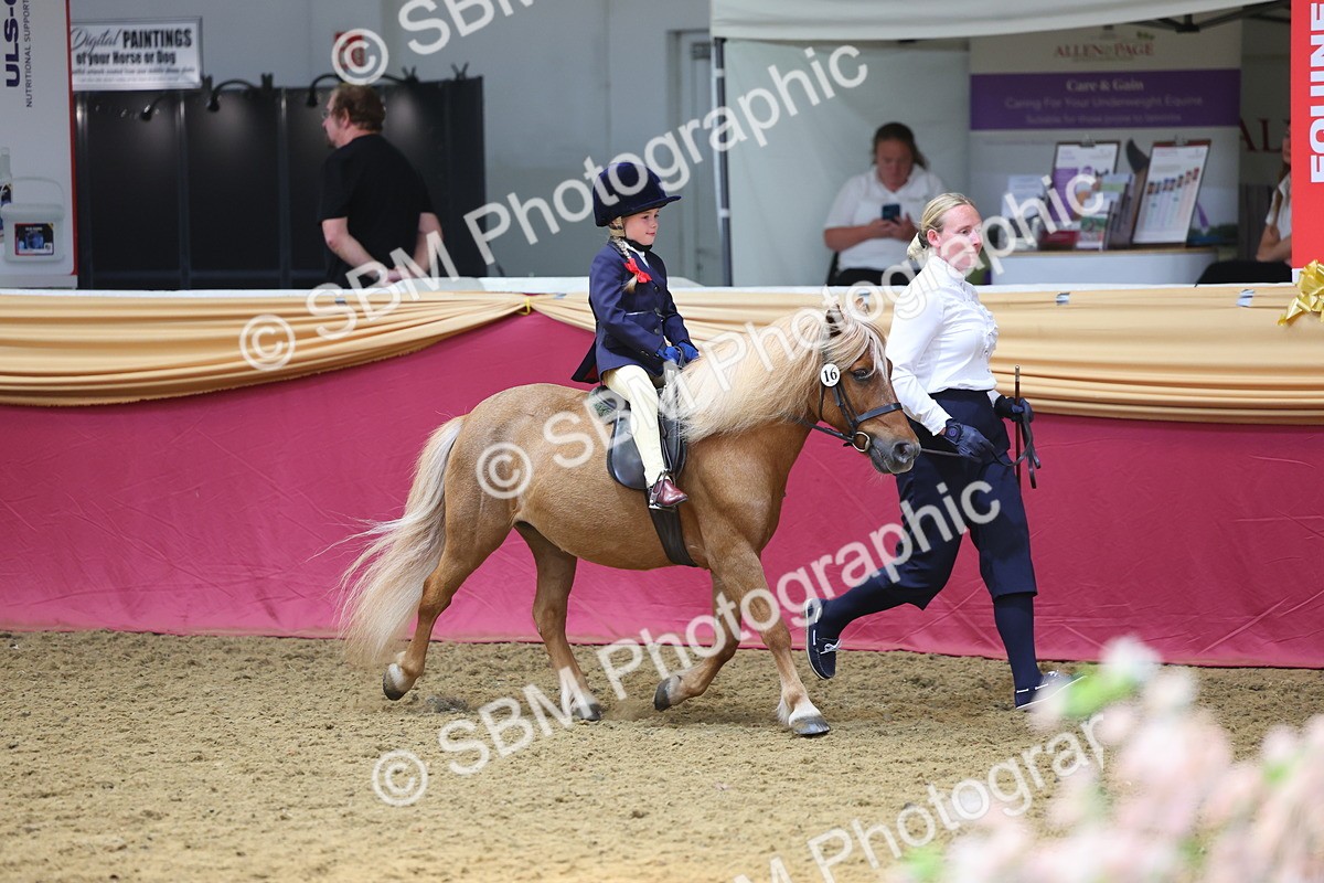 SBM_24390 - Class 906 - Supreme Final - Ridden Pre Vet