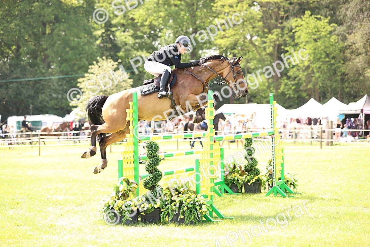 SBM_03088 - Class 201 - British Horse Feedds Speedi Beet HOYS Grade C