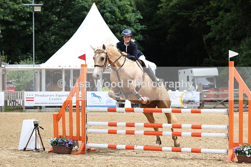 3E7A6016 - Class 4: Senior British Novice/90cm open