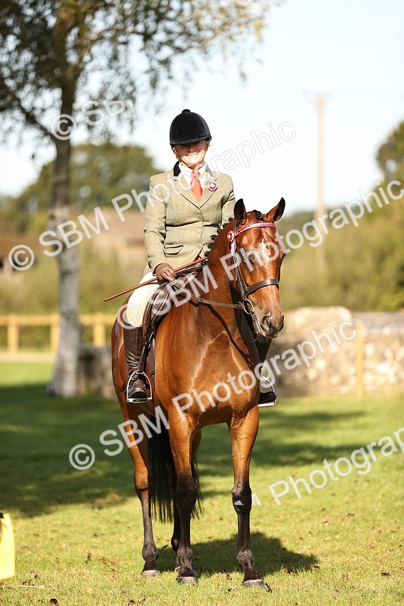 SBM_17016 - S2 - TSR Ridden Pony Showing