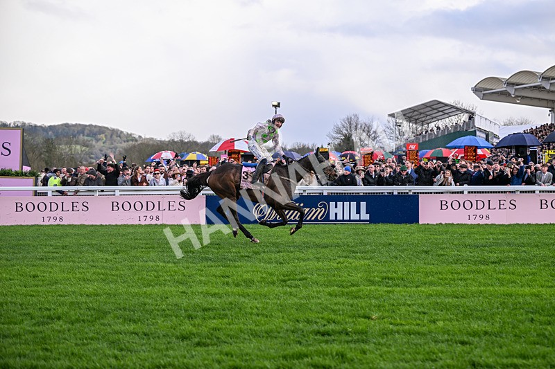 130326-Race 5-Gaelic Warrior-2642 - 13th March