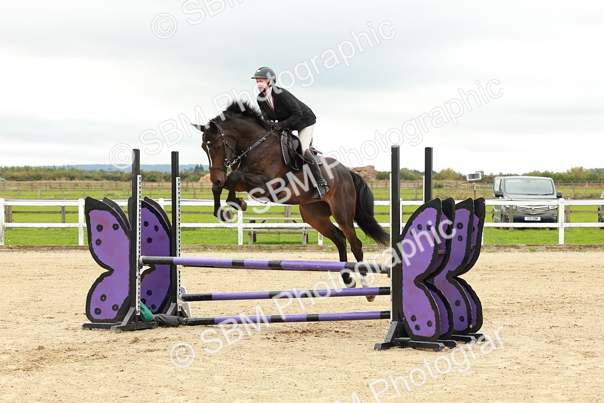 1I0A6911 - Class 2 - Senior British Novice