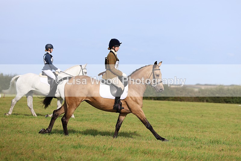 3E7A6106 - Class 1: Trebudannon Open: Dressage (Part 2)
