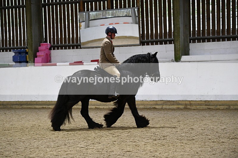 WJ5_8608 - Class 14 Novice Ridden/Rider